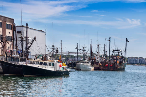 istock Fishing boats docked 1494913105