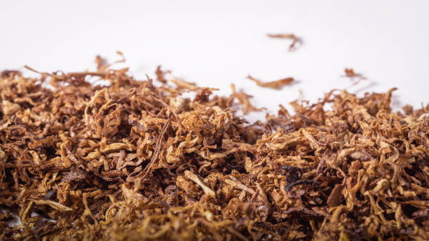 istock smoking tobacco is harmful to health 1494916087