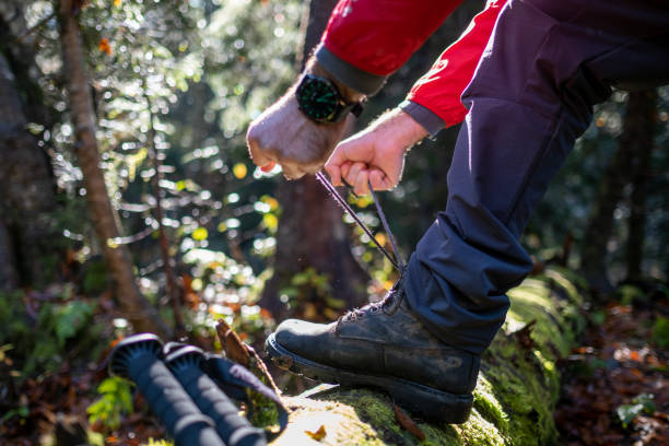 istock In Search of Adventure 1494917070