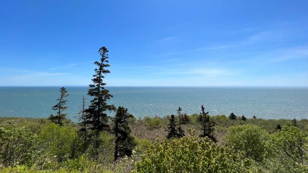 istock Bay of Fundy 1494919424