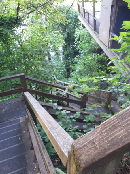 istock Wood Stairs in Forest 1494925711