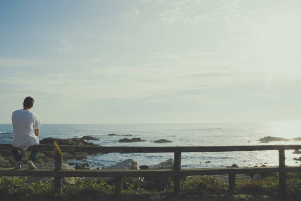 istock Rear view of a man sitting on a railing looking at the ocean 1494928065