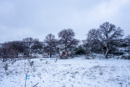 Snowfall and Tree House