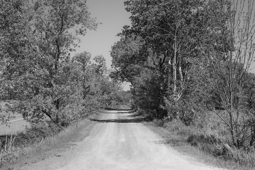 Small rural road in the Canadian countryside in the province of Quebec