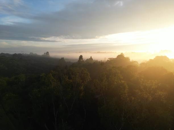 istock Images of sunrise between clouds and nature 1494931430