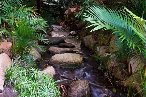 istock Blue Bell coloured waters, Bilbao, Goblin and Silver Tree Green, Taylor Range waterfall, Queensland 1494937958