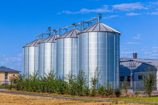 istock field in harvest with silo 1494938066