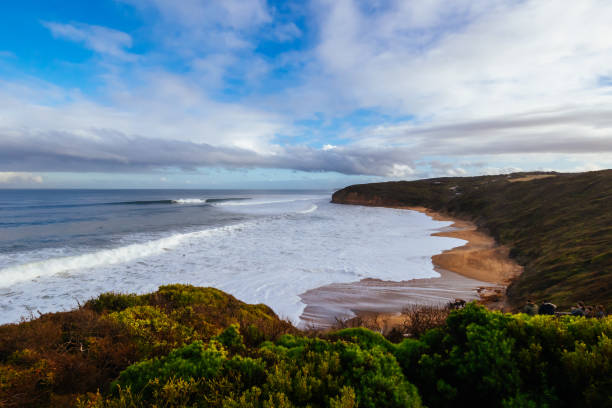 istock Surfers at Bells Beach in Australia 1494938243
