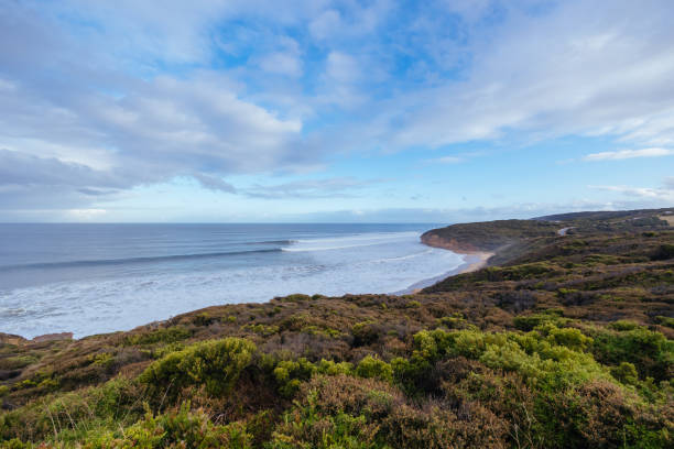 istock Surfers at Bells Beach in Australia 1494938283