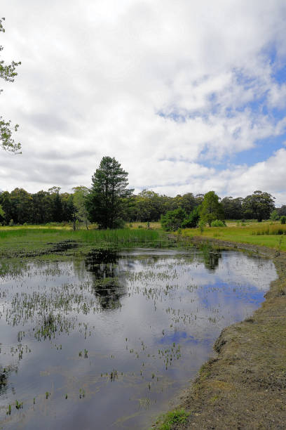 istock Lal Lal, Victoria, Australia 1494940966