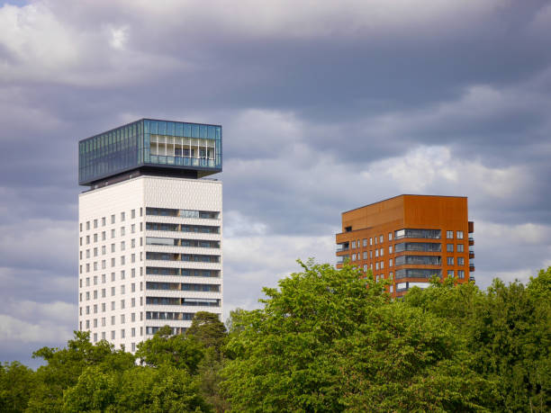 istock Low angle view of a trees and buildings against sky 1494944439