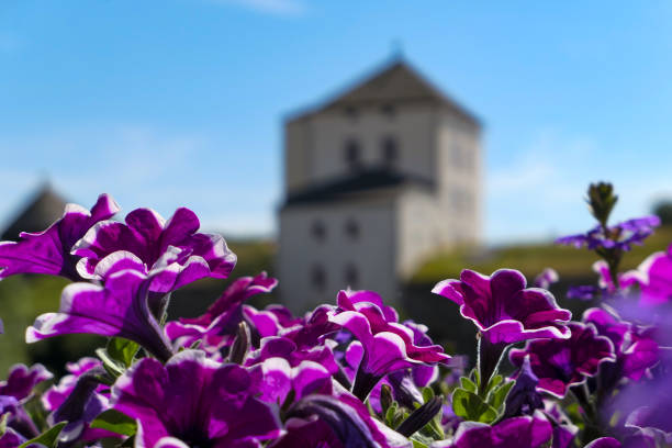 Flowers growing in front of a building against sky