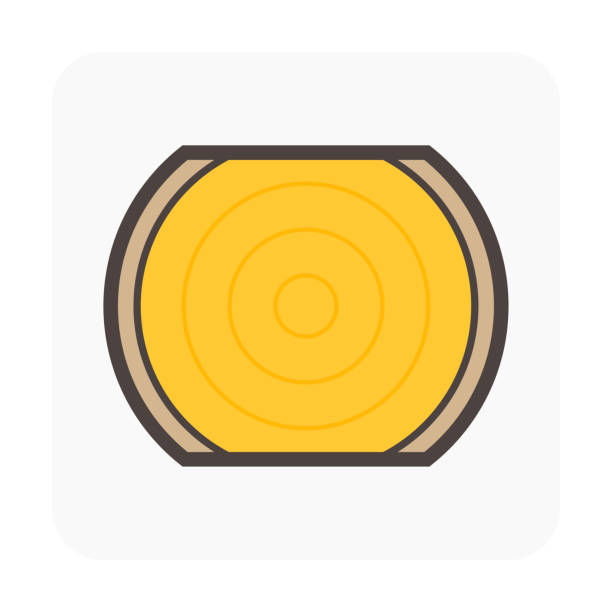 ilustrações de stock, clip art, desenhos animados e ícones de log wood or timber vector icon in cross section view. - wood lumber industry tree ring wood grain