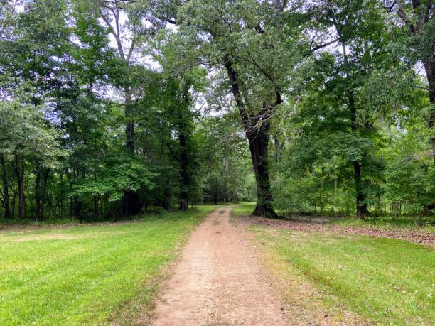 istock Hiking Trail in Wetumpka, Alabama 1494956693