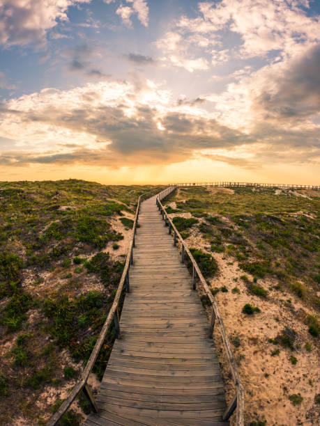 istock View from the walkway south of Furadouro beach 1494960156