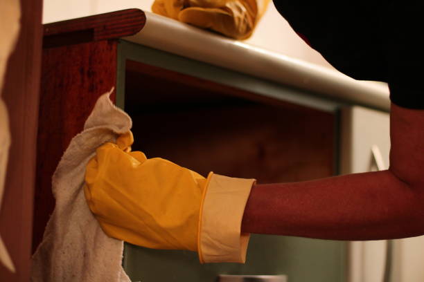 istock Person Wiping Cupboards with Rag 1494960254