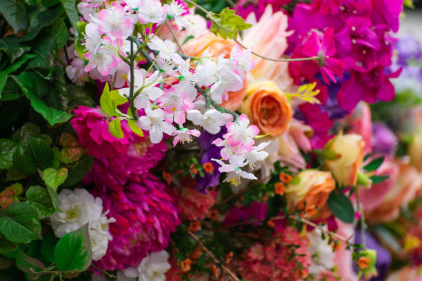istock A collection of bright spring and summer flowers 1494960910
