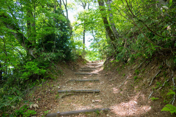 istock Japanese beautiful mountain and forest 1494963809