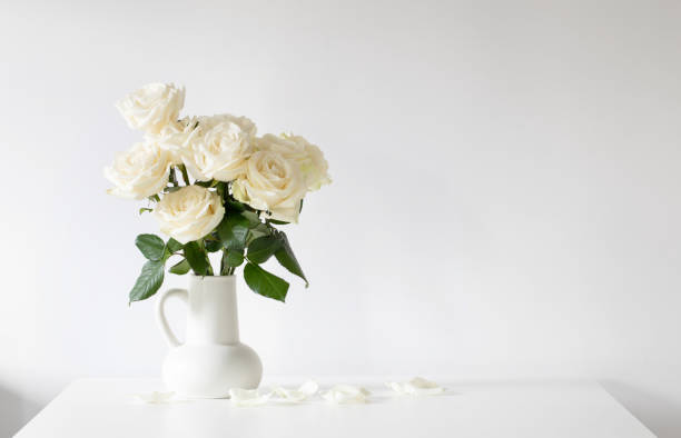 istock bouquet of white roses in jug on white background 1494969655