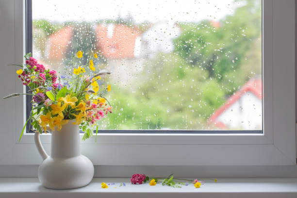 istock summer flowers in white jug on windowsill 1494969668