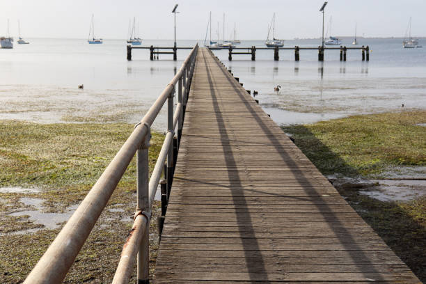 istock wooden pier over sea at low tide 1494972166
