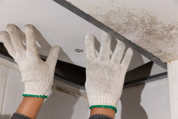 istock Worker fix leaking pipe in ceiling ,close-up of a stain on the ceiling. 1494972772