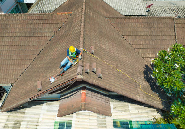istock Worker man repairing eaves and tile of the old roof. 1494972806