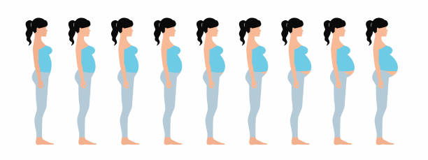 istock Pregnant woman, stages of pregnancy 1494976110