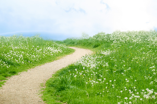 Trail in a mountain valley under the clouds