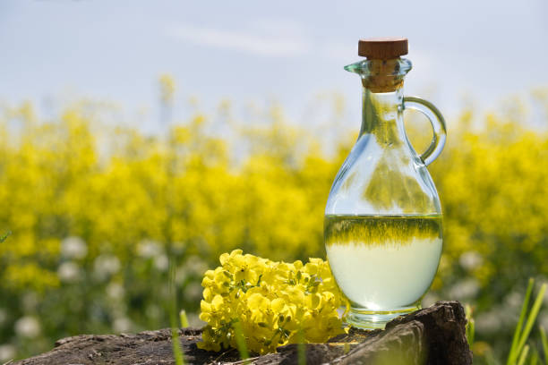 Oil decanter with reflections of yellow rape field stock photo