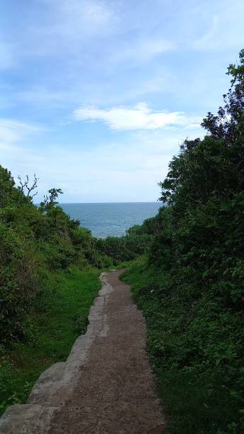 istock straight road to the sea 1494987480