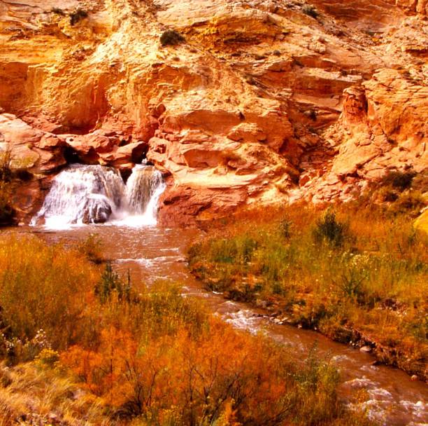 Waterfall erupting from sandstone cliff and its water flowing down through a grove of salt cedar, bushes and native grasses.  The sandstone cliffs are orangey and the salt cedar and other plants are burnt orange.