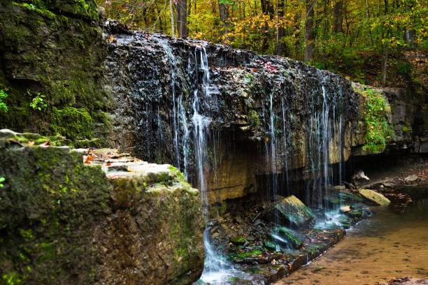 istock Waterfall at Nerstrand Big Woods State Park surrounded by lush greenery 1494991517