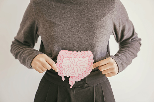 Manos de mujer sosteniendo la forma del intestino, digestión intestinal saludable, intestino permeable, probiótico y prebiótico para la salud intestinal, colon, gástrico, concepto de cáncer de estómago photo