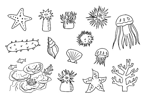 Illustration set of sea creatures