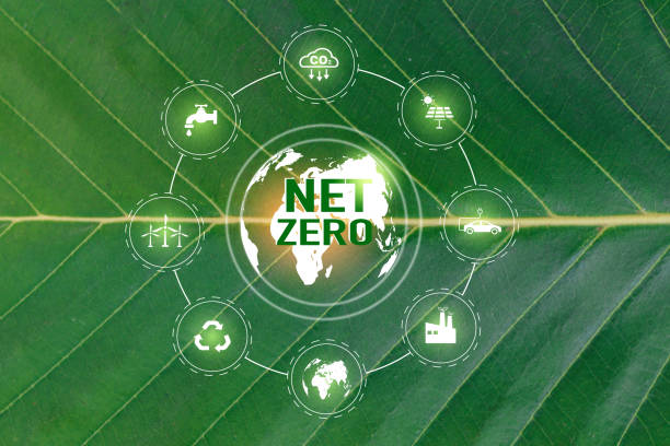istock Net Zero and Carbon Neutral Concepts Net Zero Emissions Goals With a connected icon concept related to Net Zero with hexagon grid. 1495010895