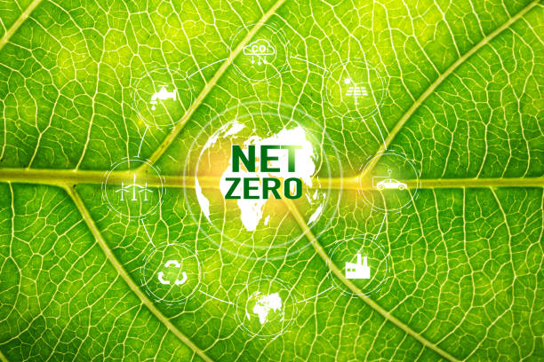 istock Net Zero and Carbon Neutral Concepts Net Zero Emissions Goals With a connected icon concept related to Net Zero with hexagon grid. 1495010897