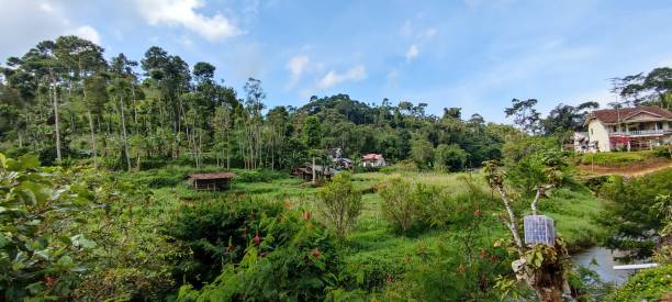 istock Beautiful view of village with river and forest 1495011909