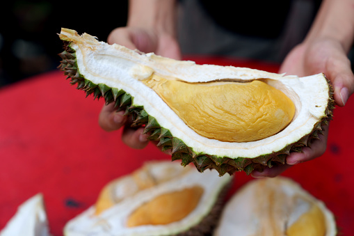 A cropped image of an adult hand holding a durian at a vendor stall