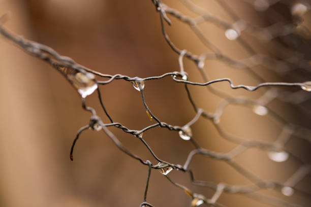 rain drops on a chicken fence with a natural background