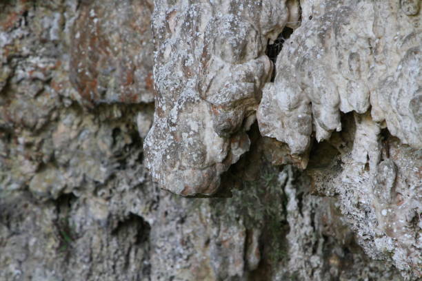 Travertine stone formations Una National Park stock photo