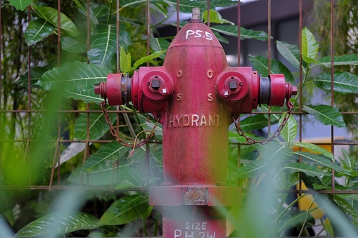 Yogyakarta, Indonesia, March 9, 2023. Hydrants placed at the edge of park to anticipate fire emergencies.