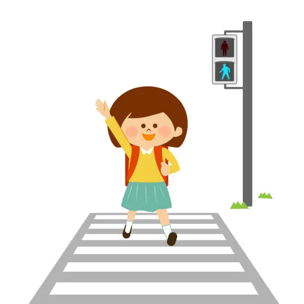 Vector illustration of Traffic safety A child crossing a pedestrian crossing with a green light