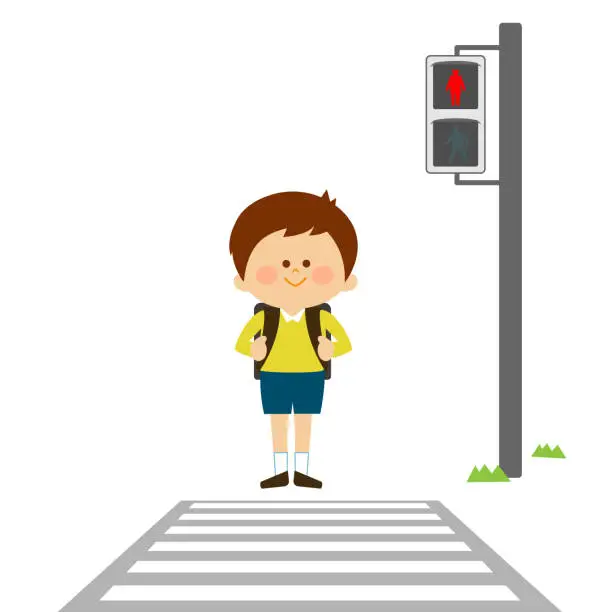 Vector illustration of A child who stops and waits at a red light