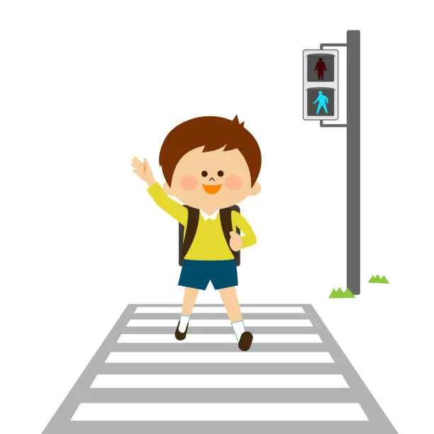 Vector illustration of Traffic safety A child crossing a pedestrian crossing with a green light