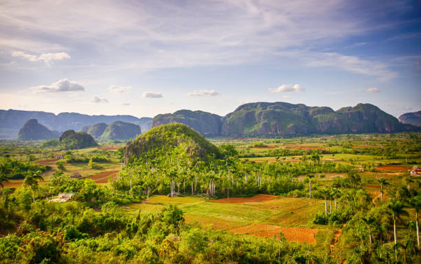 istock Panoramic view over landscape with Cigar farm in Vinales Valley, Cuba 1495024947