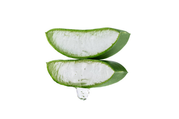 istock Fresh Aloe vera slice with aloe gel isolated on white background. 1495028250