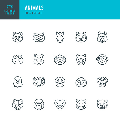ANIMALS - set of vector linear icons. 20 icons. Pixel perfect. Editable outline stroke. The set includes a Gorilla, Crocodile, Cheetah, Eagle, Penguin, Frog, Horse, Hippopotamus, Rhinoceros, Chameleon, Snake, Sloth, Monkey, Owl, Panda, Alpaca, Mouflon, Raccoon, Wild Boar, Badger.
