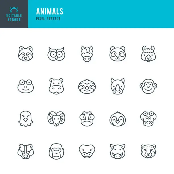 Vector illustration of ANIMALS - set of vector linear icons. Pixel perfect. Editable stroke. The set includes a Gorilla, Crocodile, Cheetah, Eagle, Penguin, Horse, Rhinoceros, Chameleon, Snake, Monkey, Owl, Panda, Raccoon, Badger.