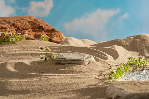 Natural scene with a rock on sand with small lake and feverfew on blue sky background. Empty space on stone form a pedestal for cosmetic product and packaging mockups presentation
